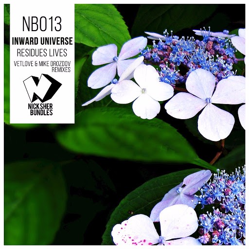 Inward Universe - Residues Lives (VetLove Mike Drozdov Remix)