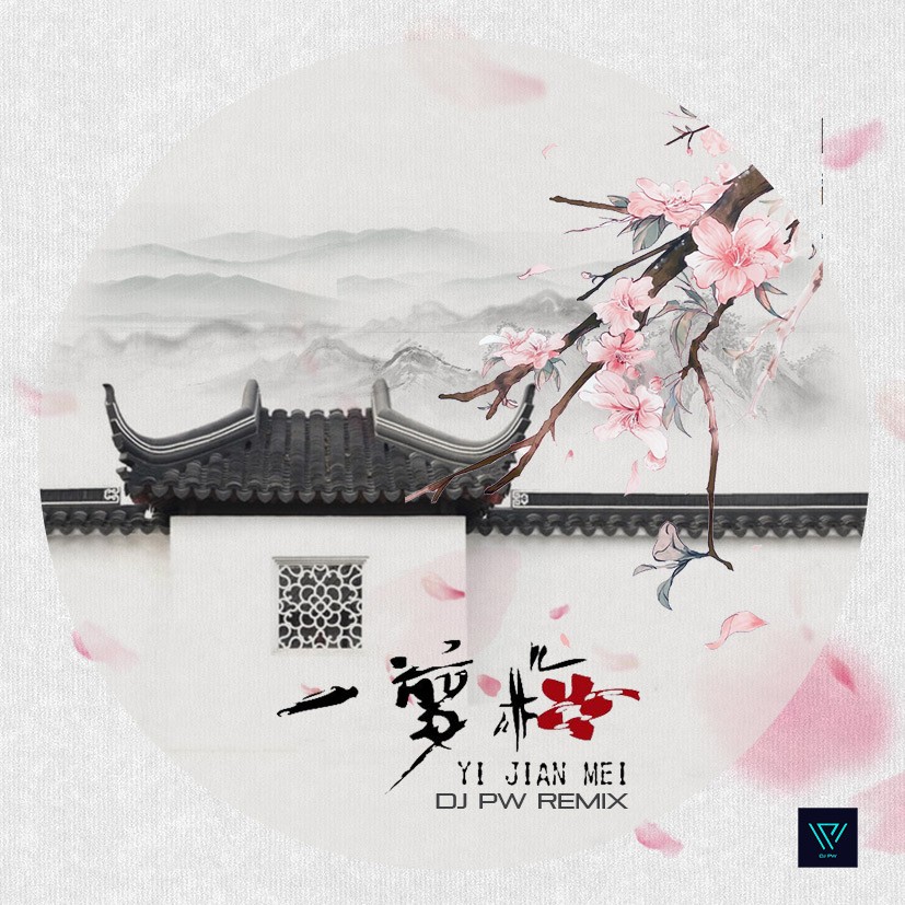 王心雅 - 一剪梅(DJPw 2018 Remix)